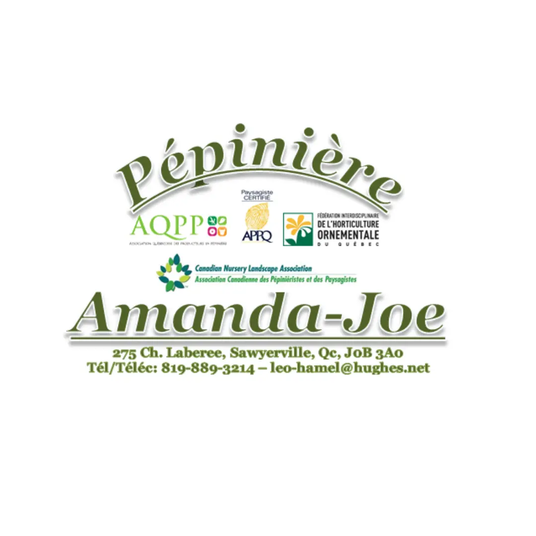 Pépinière Amanda-Joe